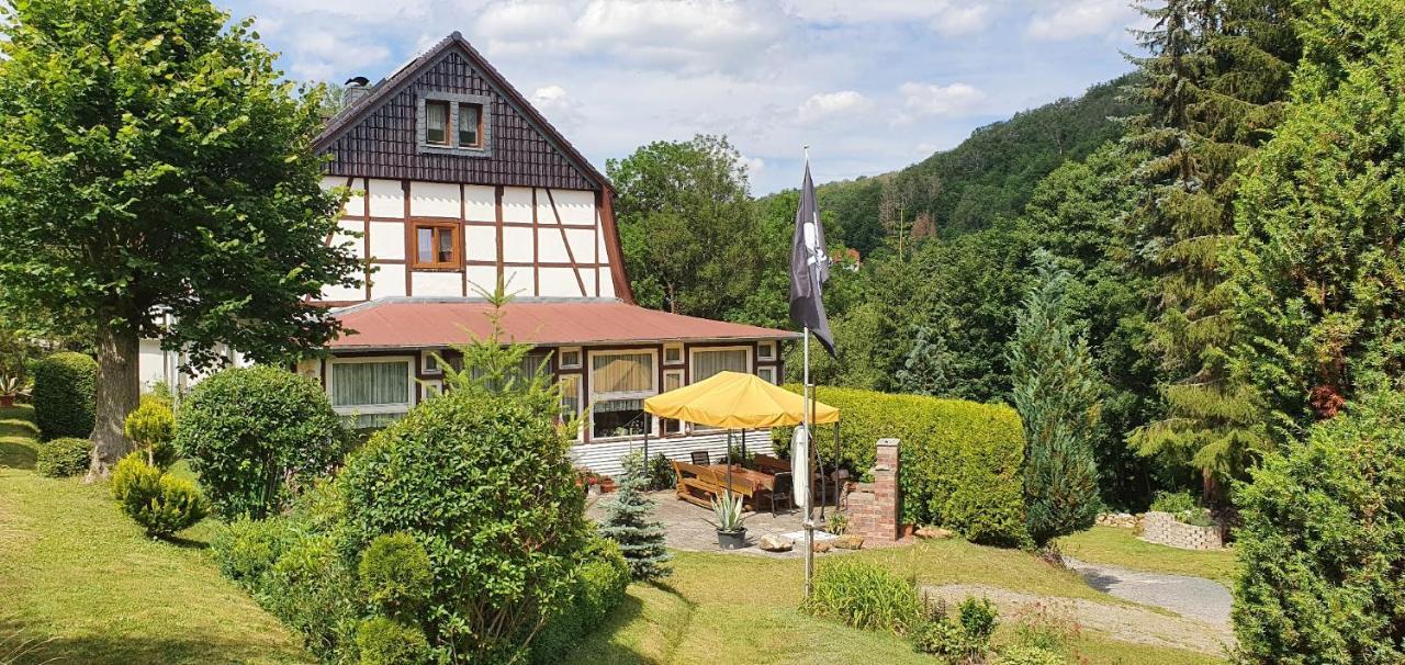 Ferienwohnung Altenbrak Haus Wilde Thale Εξωτερικό φωτογραφία
