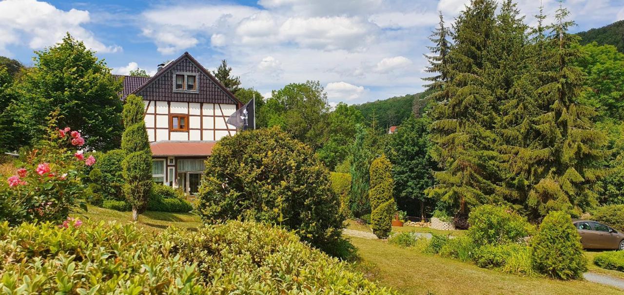 Ferienwohnung Altenbrak Haus Wilde Thale Εξωτερικό φωτογραφία