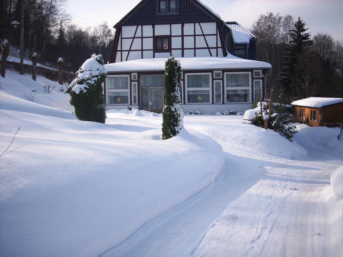 Ferienwohnung Altenbrak Haus Wilde Thale Εξωτερικό φωτογραφία