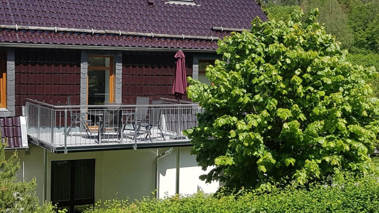 Ferienwohnung Altenbrak Haus Wilde Thale Εξωτερικό φωτογραφία