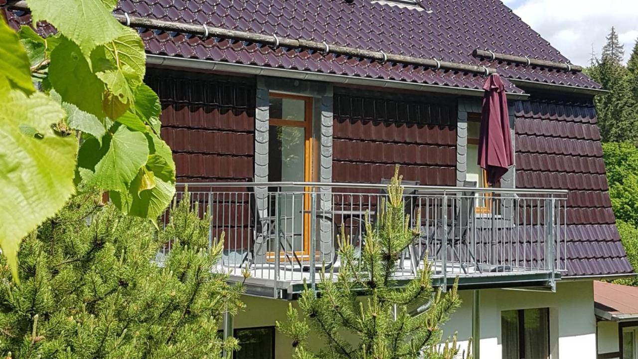 Ferienwohnung Altenbrak Haus Wilde Thale Εξωτερικό φωτογραφία